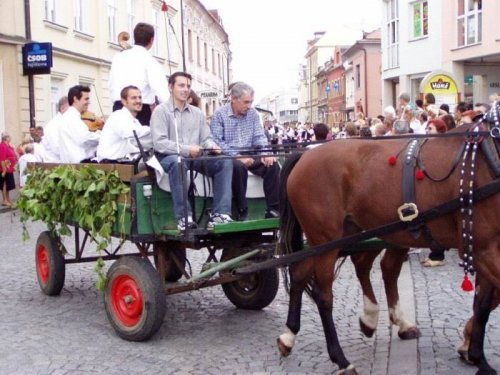 Slovácké slavnosti vína - 10.9.2005